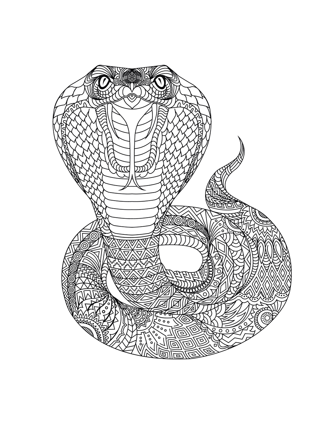 Desenhos de Cobra realista fácil de Cobra para colorir