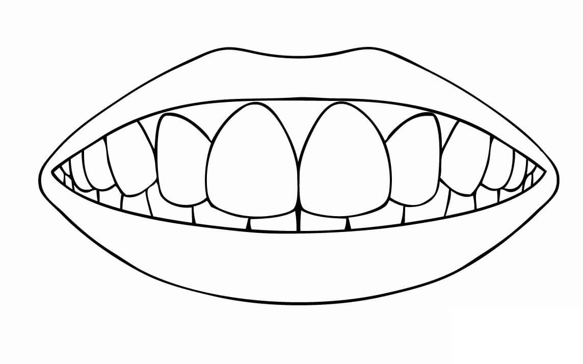 Desenhos de Dente Normal para colorir