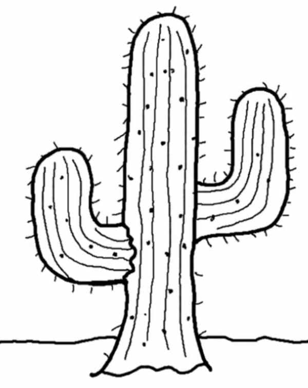 Desenhar Cacto normal para colorir