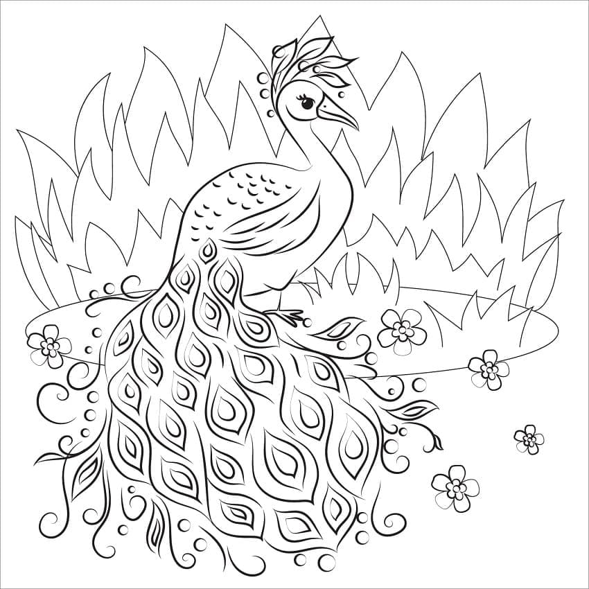 Desenhos de Desenhar pavão para crianças para colorir