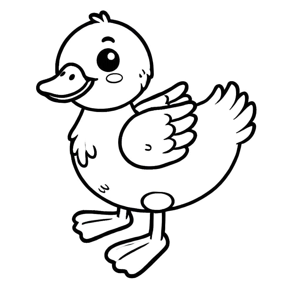 Desenhos de Desenhe Pato 3 para colorir