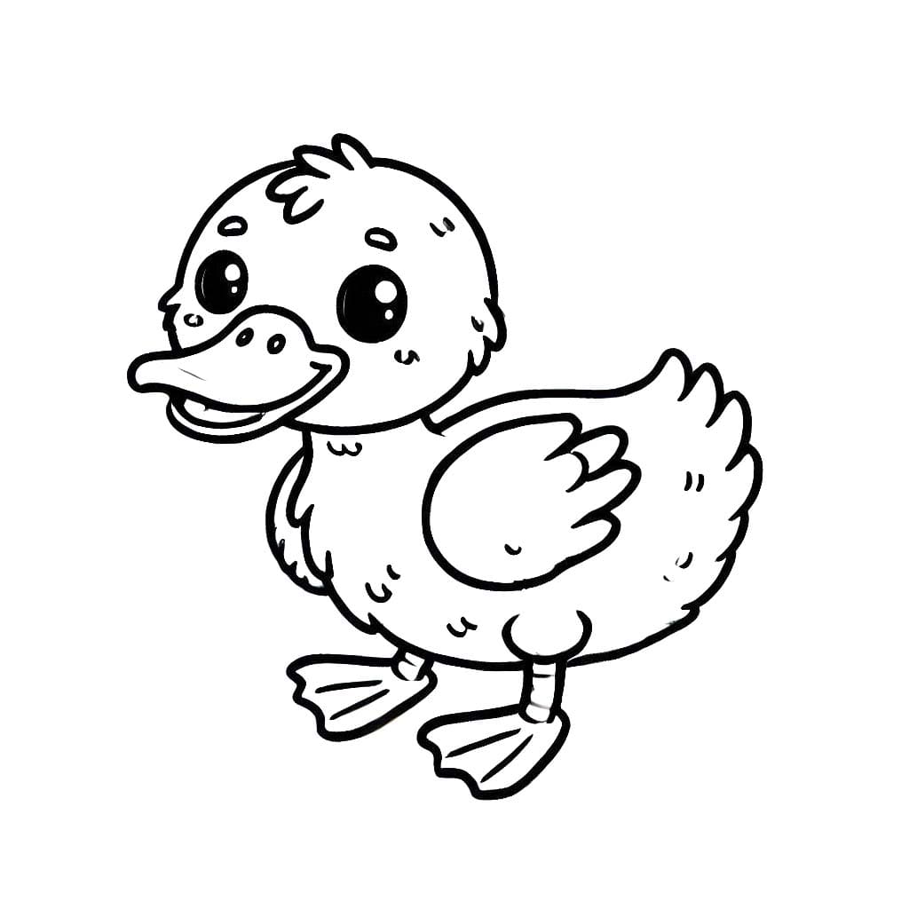 Desenhos de Desenhe Pato 4 para colorir