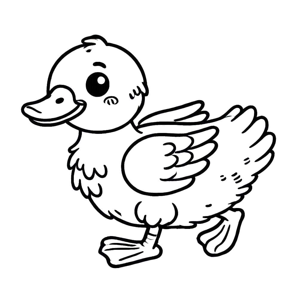 Desenhos de Desenhe Pato 5 para colorir