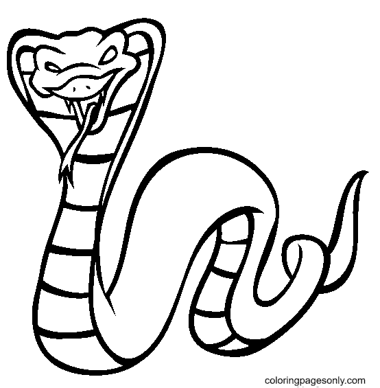 Desenhe Rei Cobra de Cobra para colorir