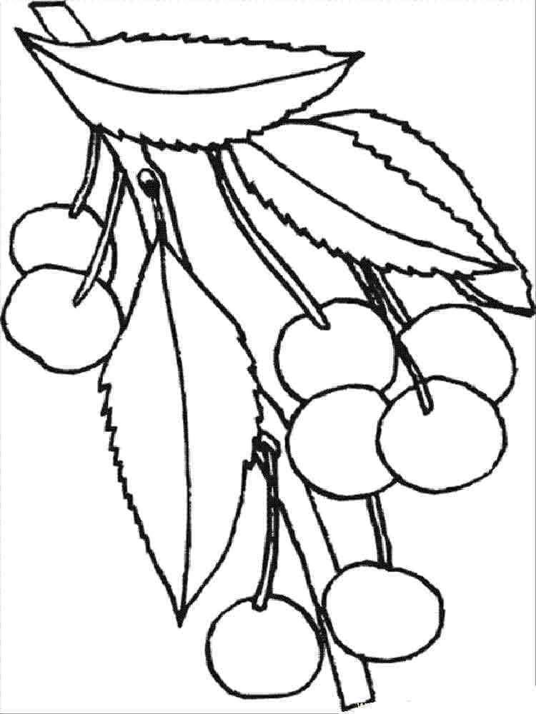 Desenhe cereja imprimir para crianças para colorir