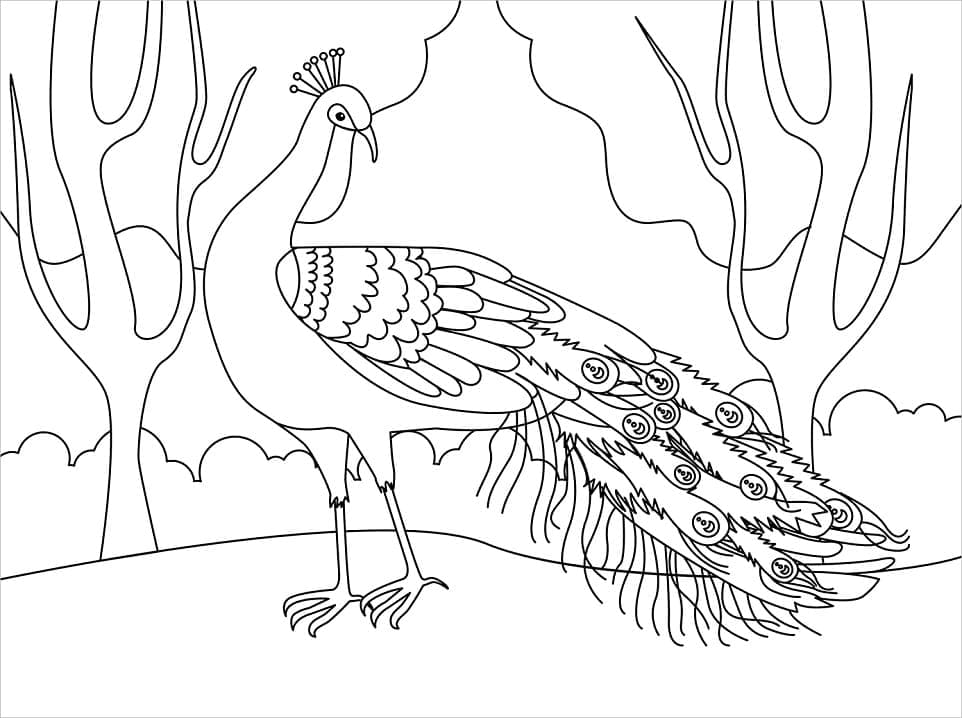 Desenhos de Desenhe o Pavão 2 para colorir