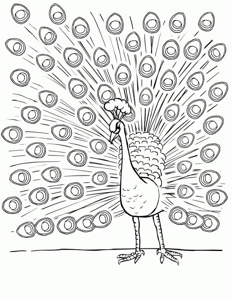 Desenhos de Desenhe o Pavão 3 para colorir