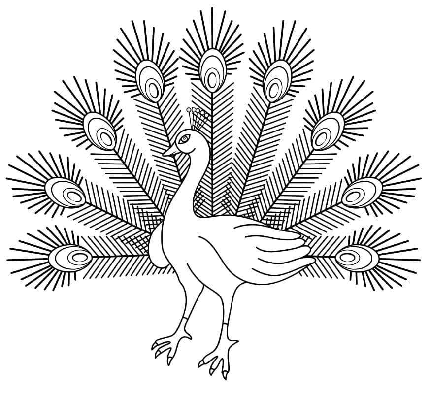 Desenhos de Desenhe o Pavão 5 para colorir