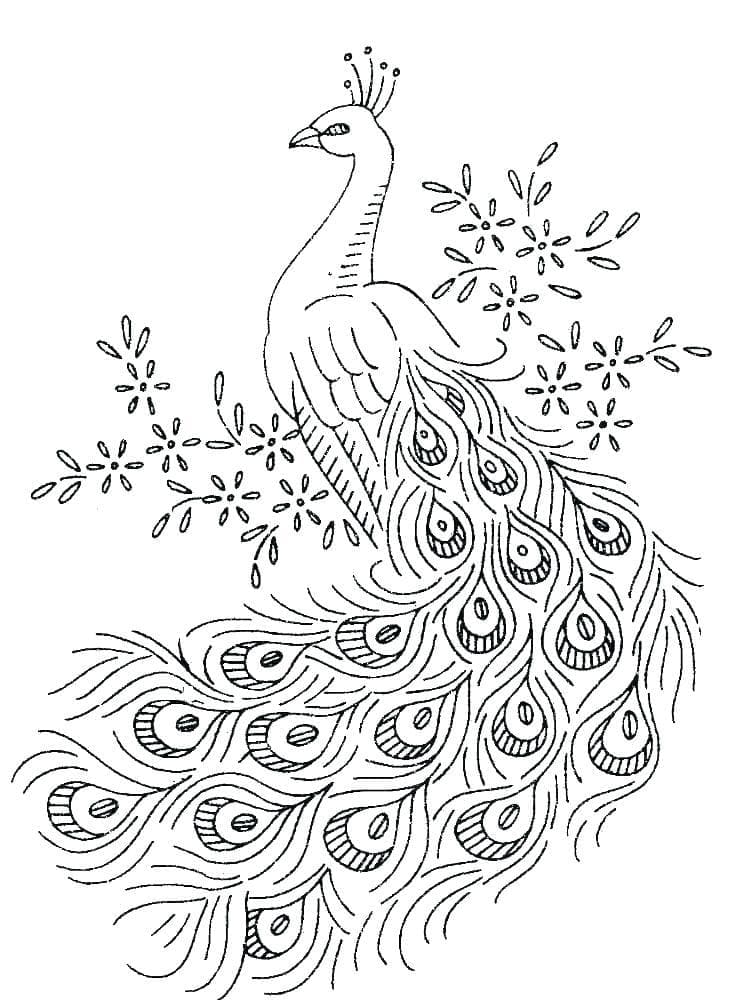 Desenhos de Desenhe pavão grátis para crianças para colorir