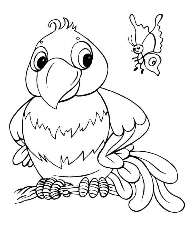 Desenhos Animados de Papagaio e Borboleta para colorir