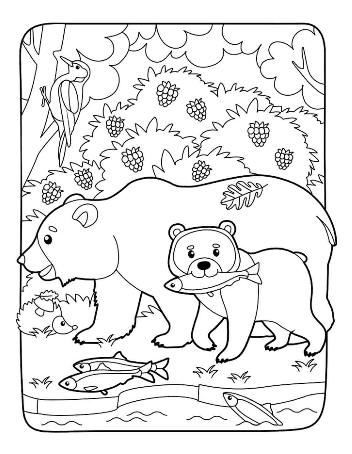 Desenhos de Dois Ursos Pardos para colorir