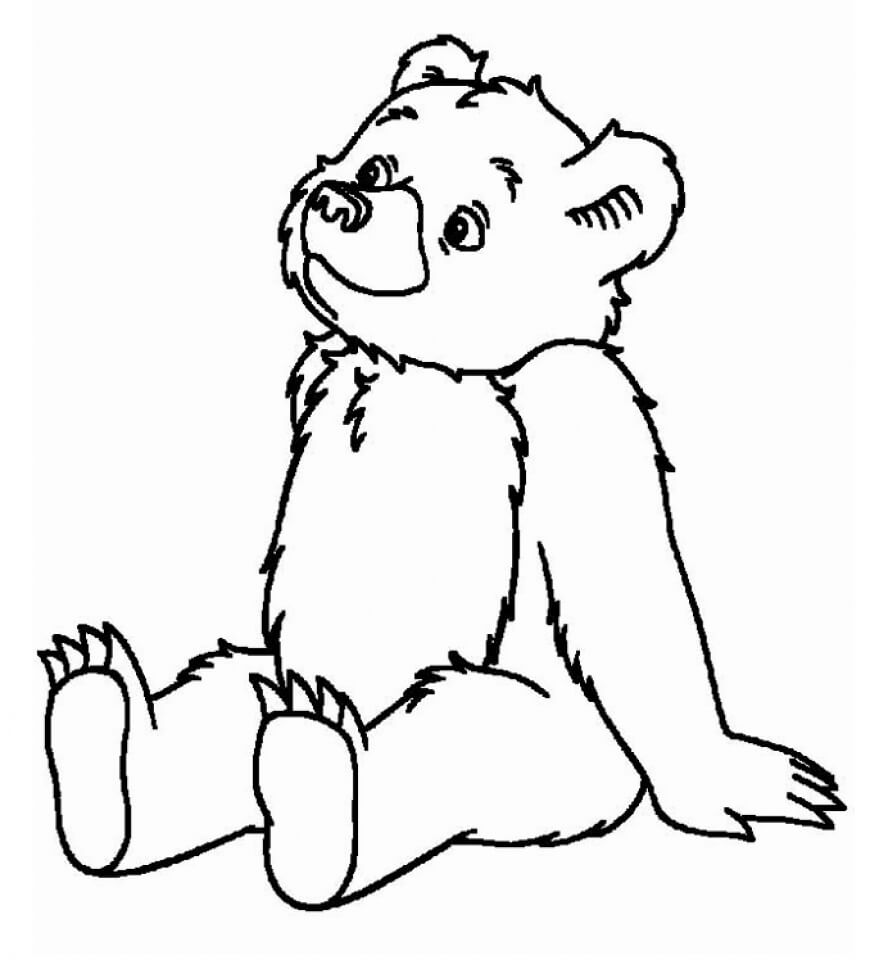 Desenhos de Engraçado Urso Sentado para colorir