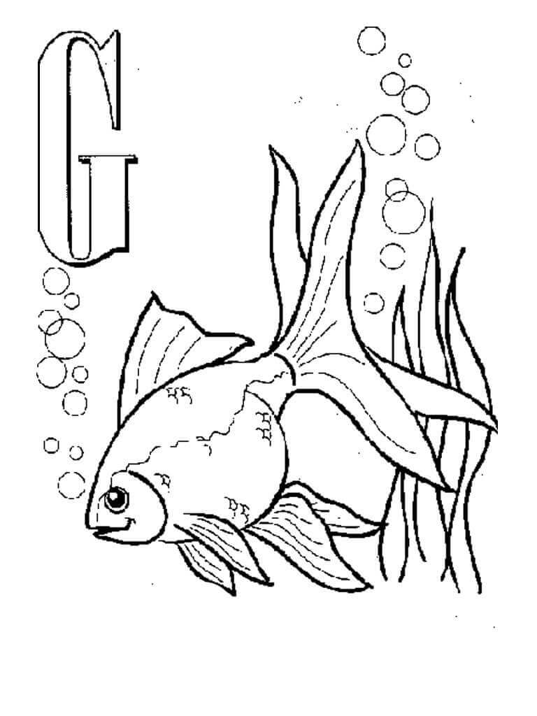 Desenhos de G-Goldfish para colorir