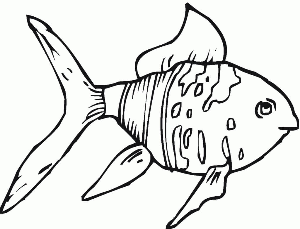 Desenhos de Goldfish 1 para colorir