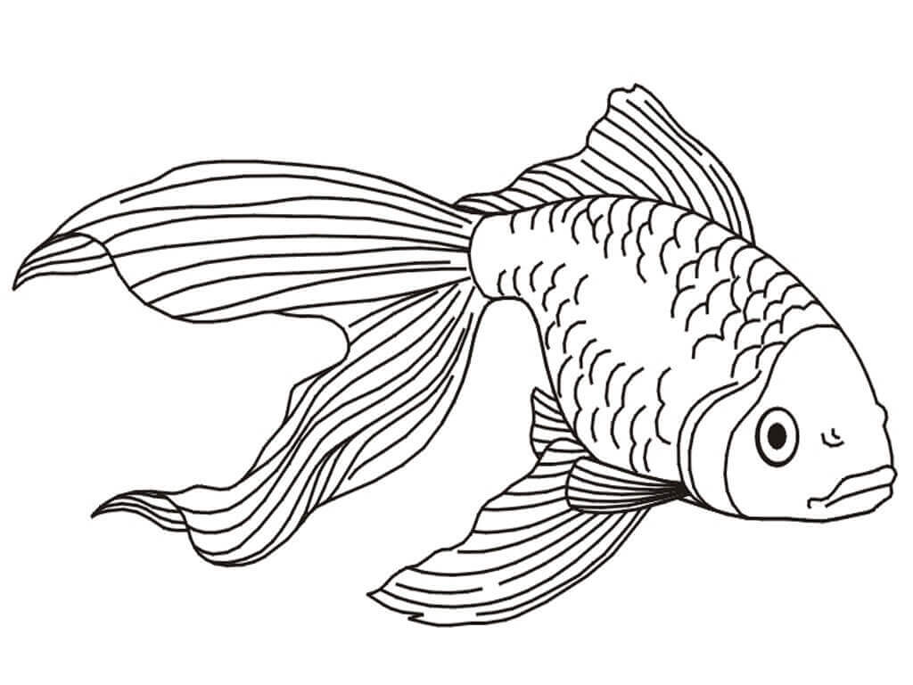 Desenhos de Goldfish 2 para colorir