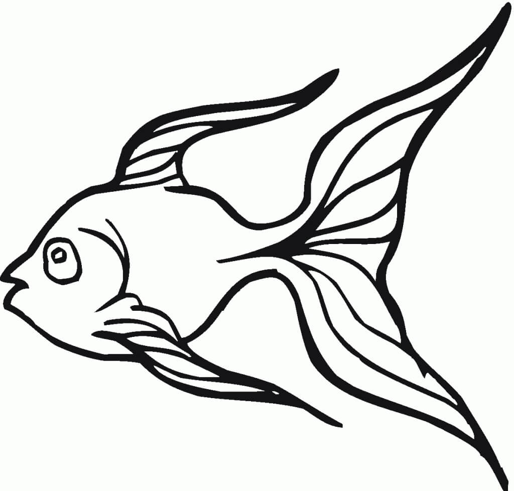 Desenhos de Goldfish 4 para colorir