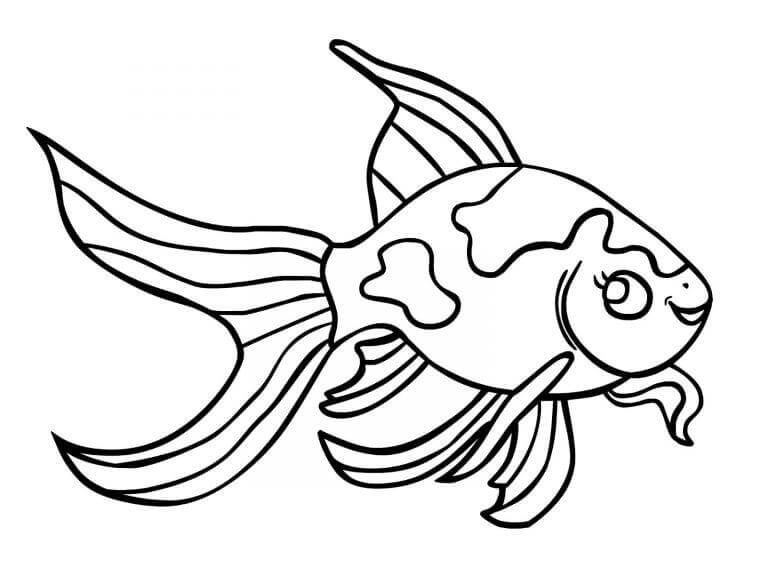 Desenhos de Goldfish Engraçado para colorir