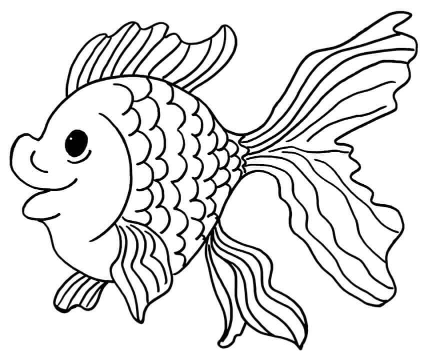 Desenhos de Goldfish Feliz para colorir