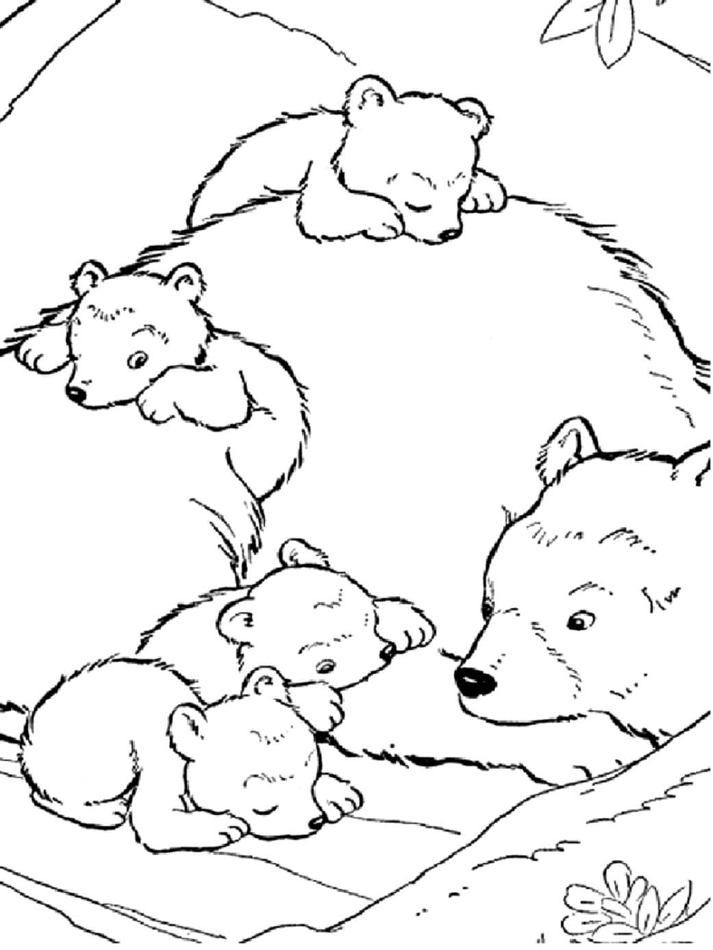 Mãe Ursa e Bebê Urso Dormindo para colorir
