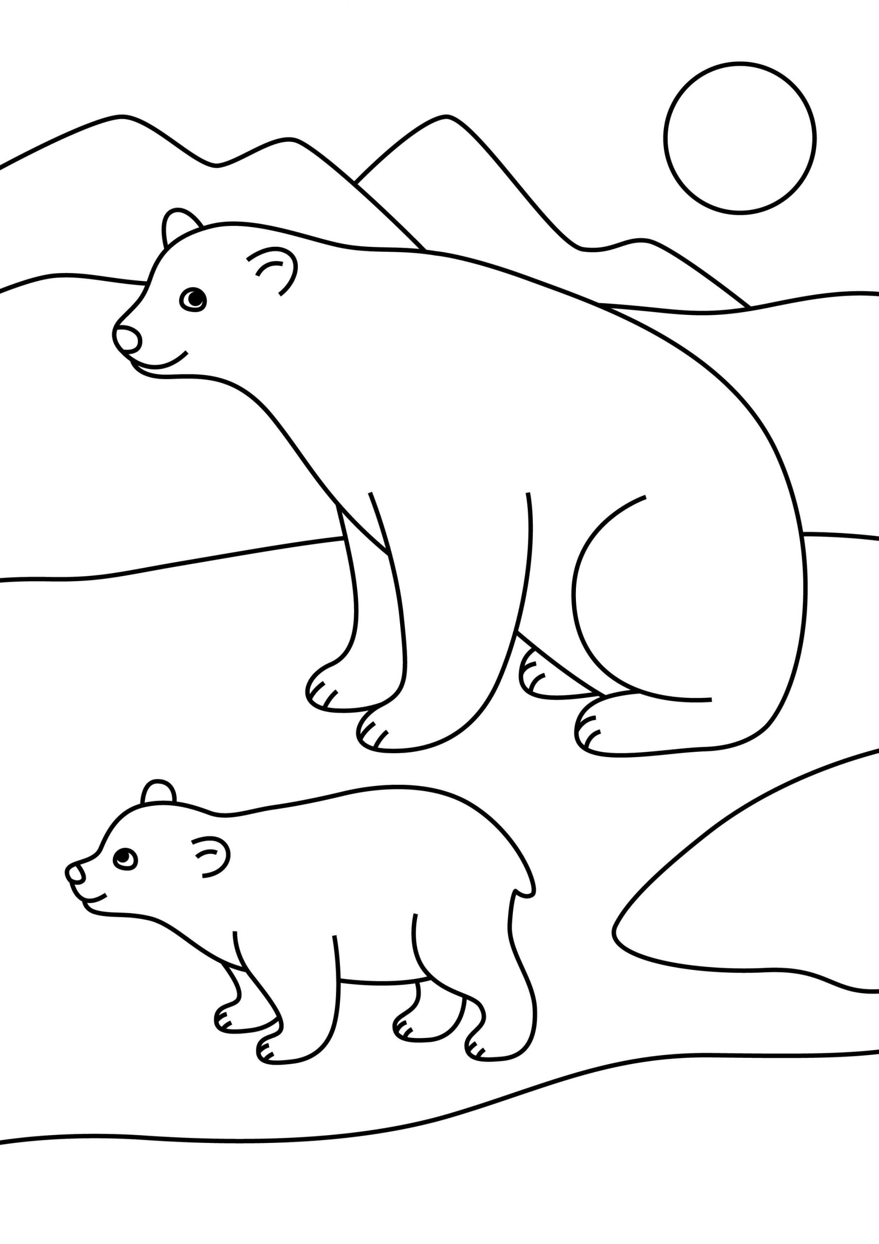 Desenhos de Mãe e Bebê Urso Polar para colorir
