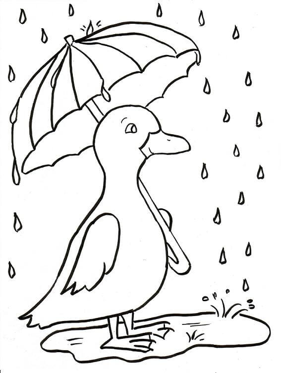 Desenhos de Pato Parado na Chuva para colorir