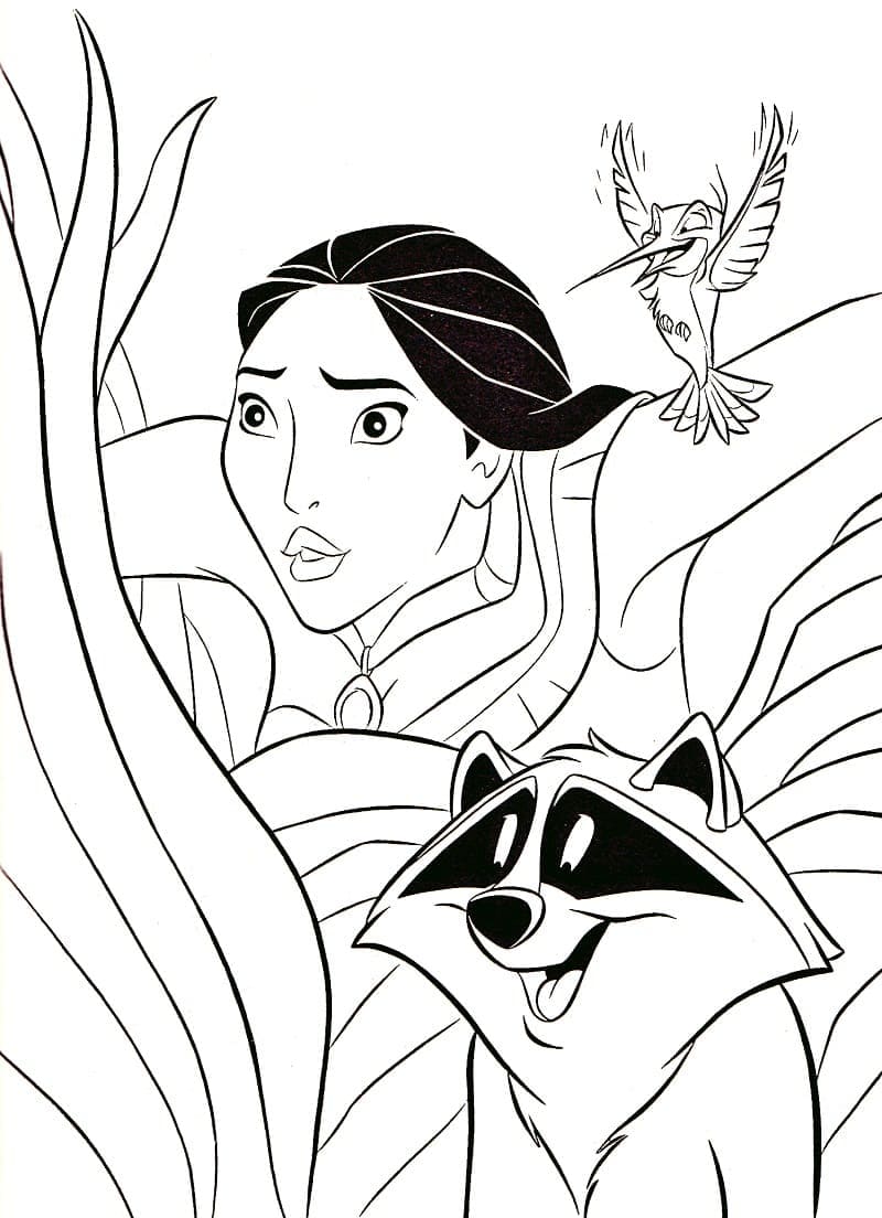 Desenhos de Pocahontas com Meeko e Flit para colorir