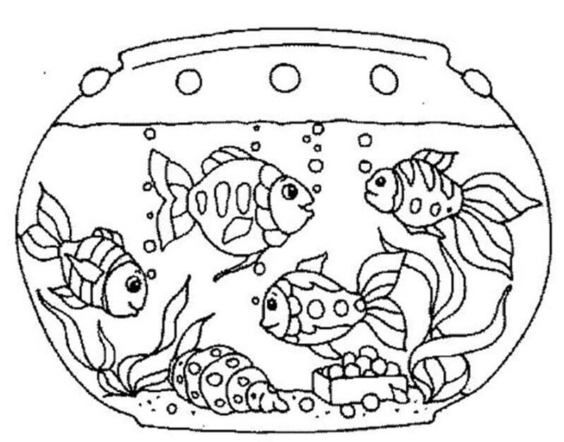Quatro Goldfish para colorir