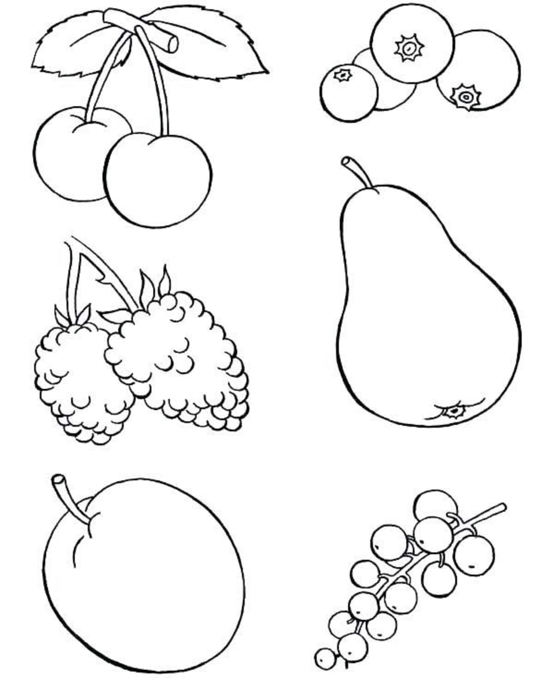 Seis Frutas para colorir