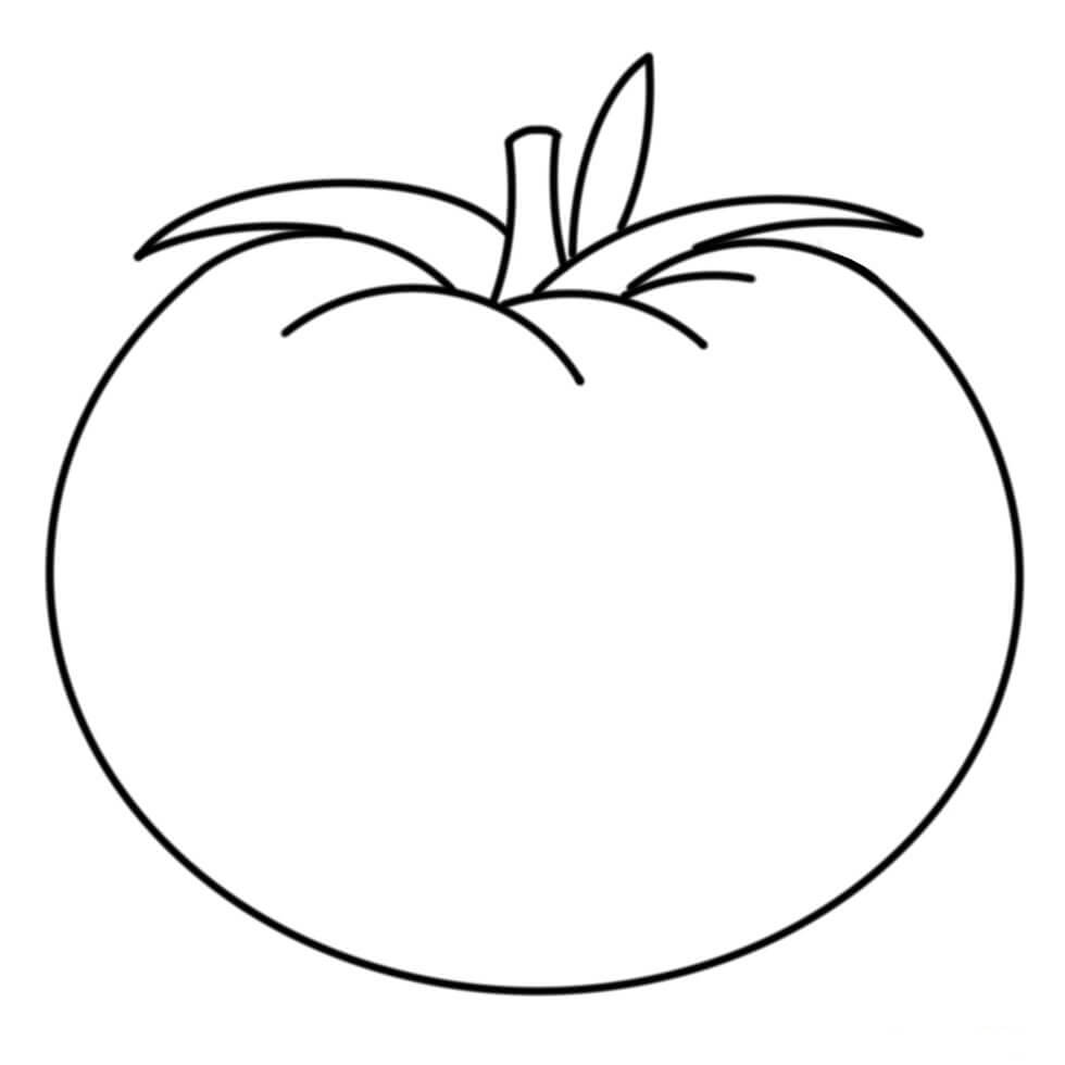 Desenhos de Tomate Básico para colorir