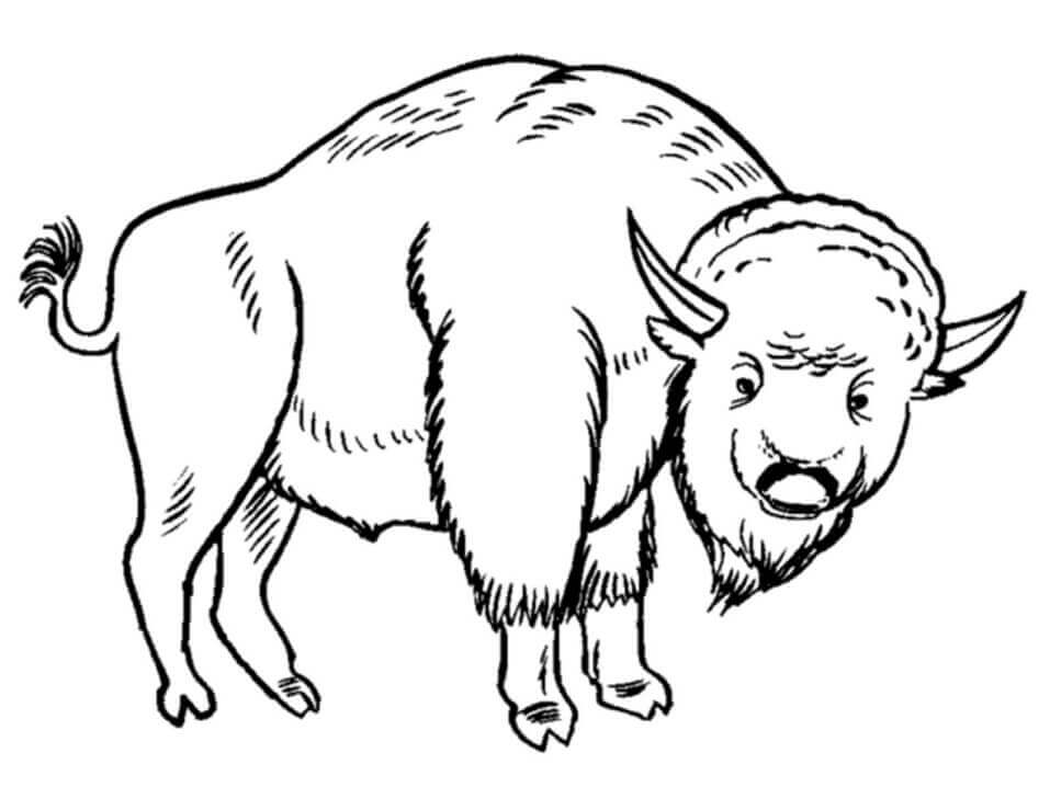 Desenhos de Um Bisonte para colorir