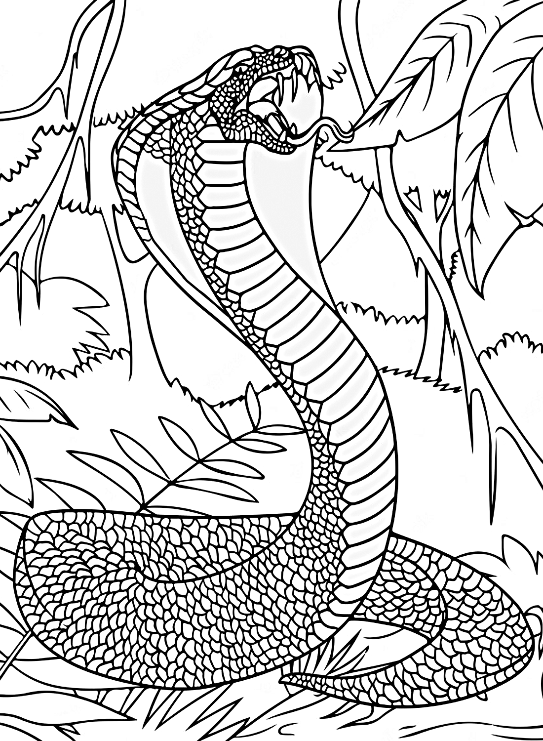 Desenhos de Uma Cobra Gigante de Cobra para colorir