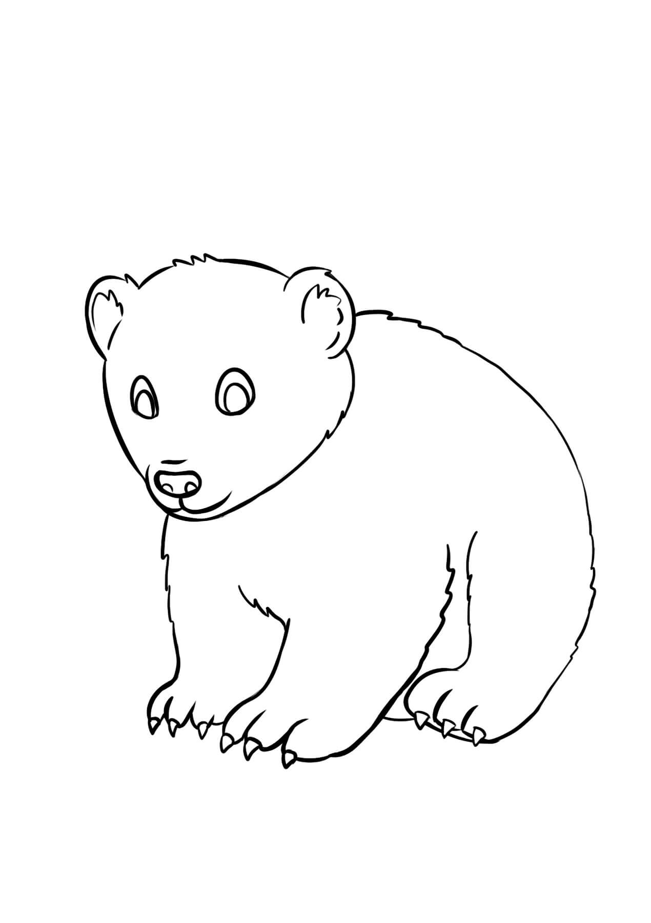 Desenhos de Urso Bebê para colorir