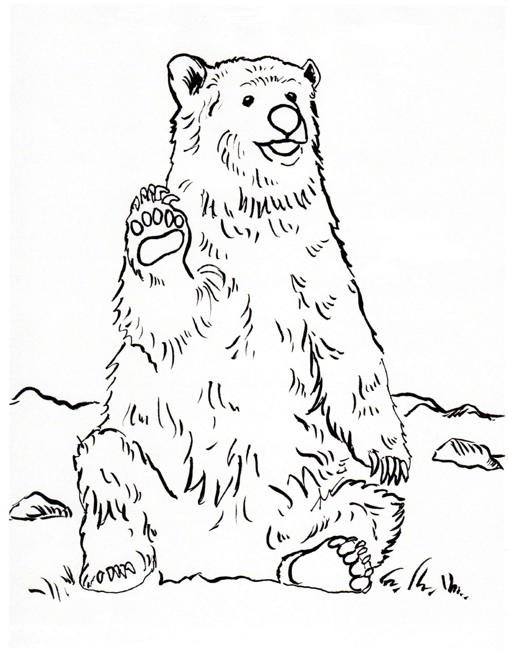 Desenhos de Urso Grizzly Diga Oi para colorir