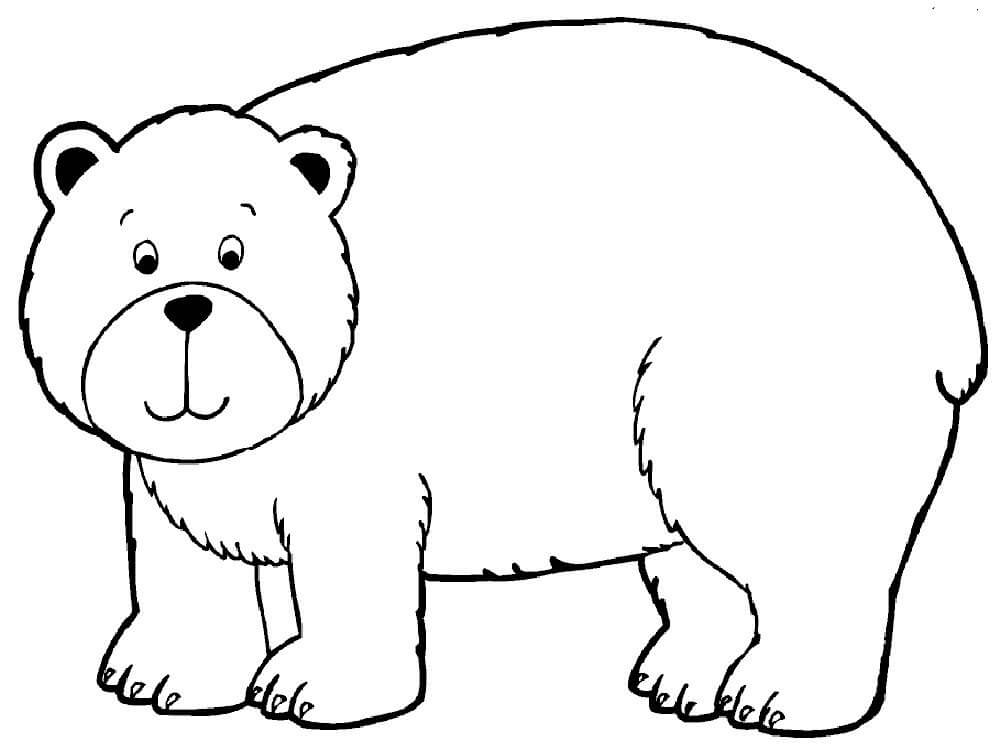 Urso Simples para colorir
