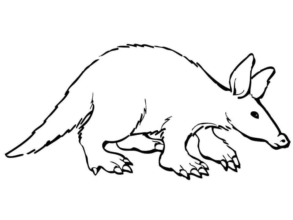 Desenhos de Aardvark Simples para colorir