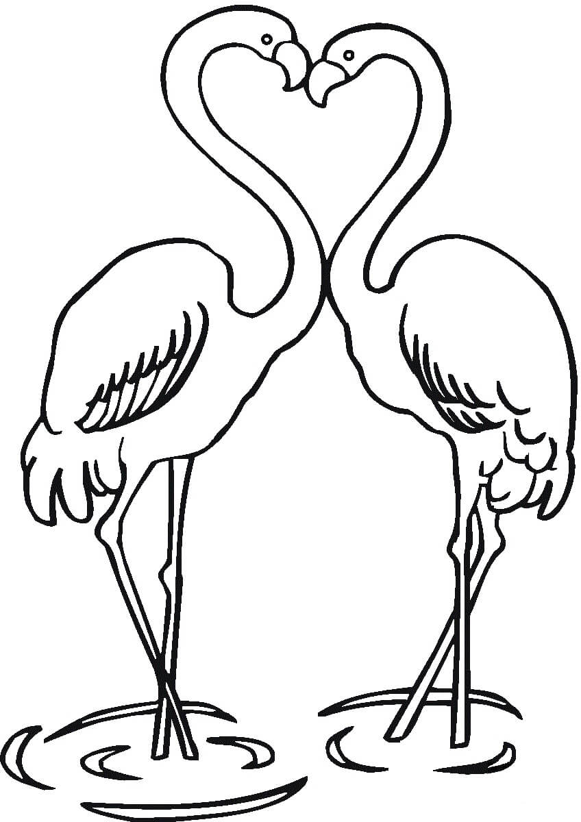 Amor Casal Flamingos para colorir