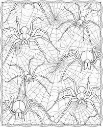 Desenhos de Aranha Dura para colorir