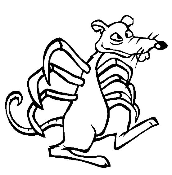 Desenhos de Aranha Rato para colorir