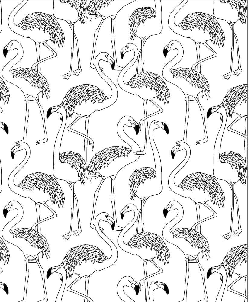 Bando de Flamingos para colorir