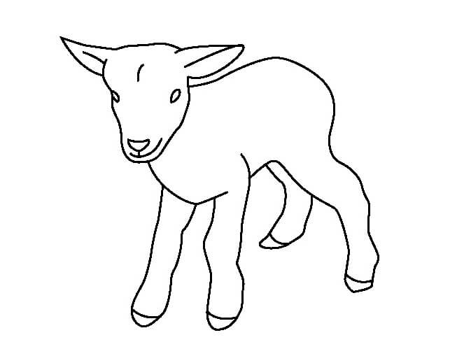 Desenhos de Bebe Cabra para colorir