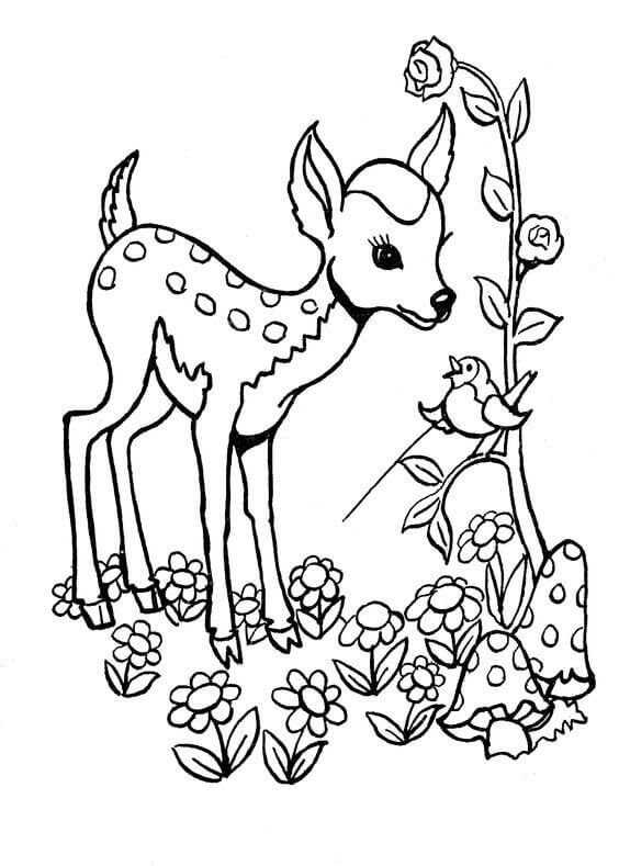 Desenhos de Bebê Cervo Fofo para colorir