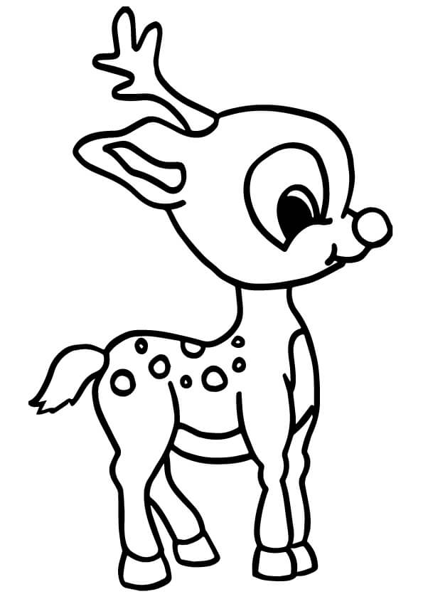Desenhos de Bebê Cervo para colorir