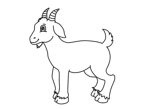 Desenhos de Boa Cabra para colorir