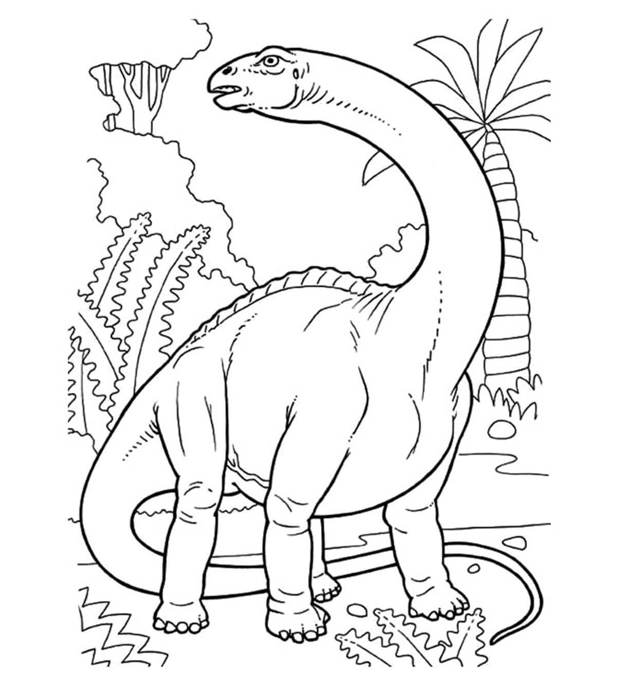 Desenhos de Brontossauro na Selva para colorir