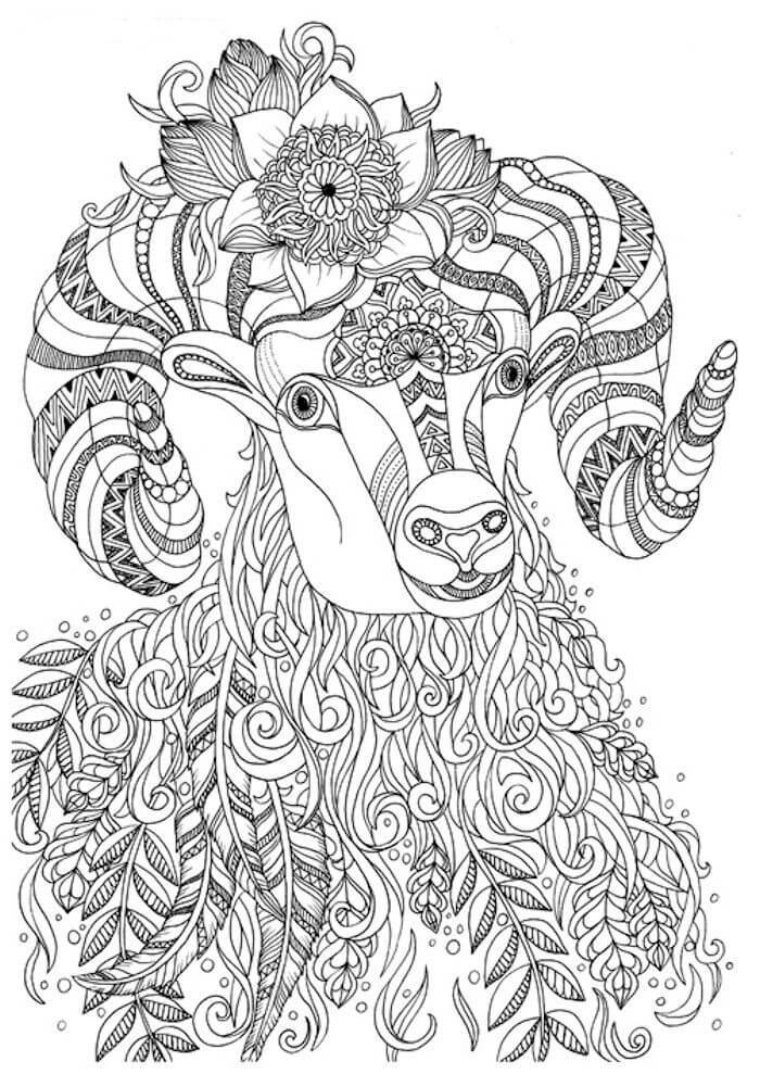 Desenhos de Cabra Dura para colorir