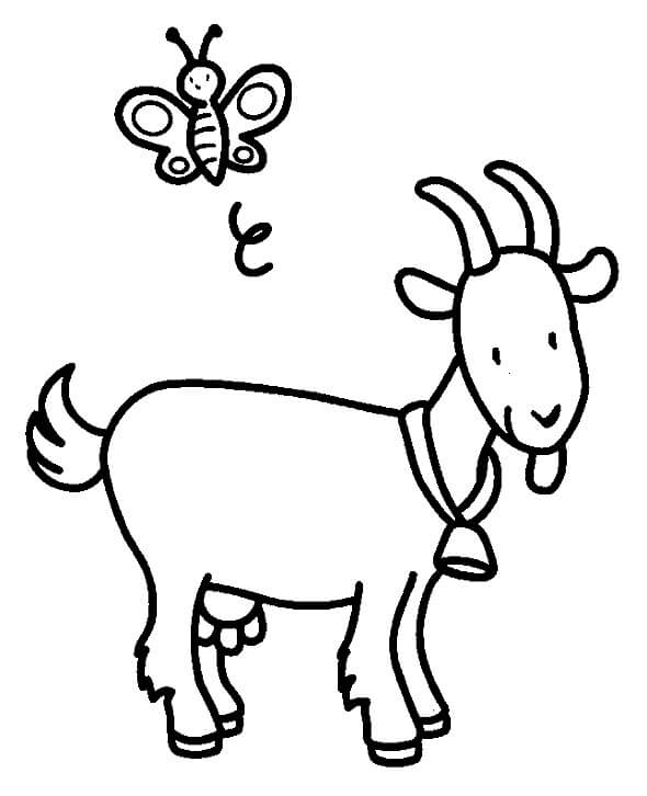 Desenhos de Cabra e Borboleta para colorir