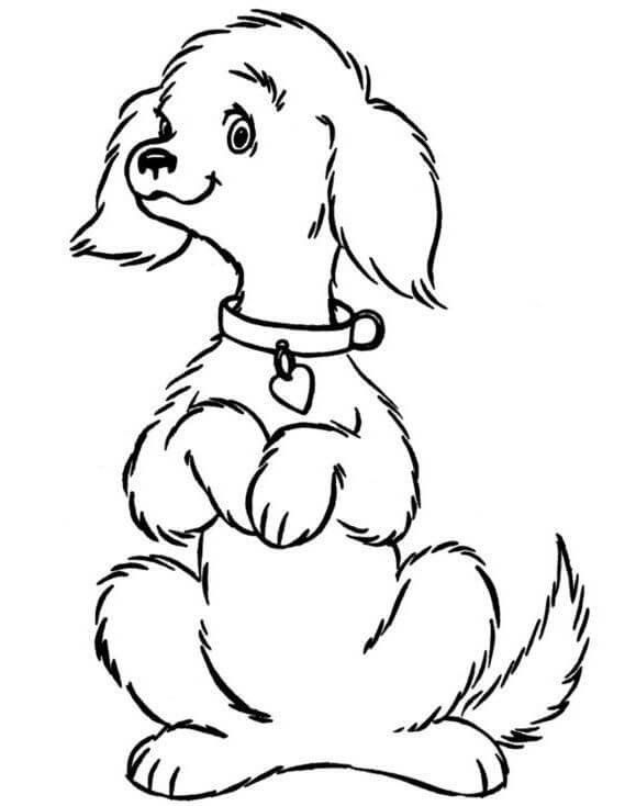 Desenhos de Cachorrinho Feliz para colorir