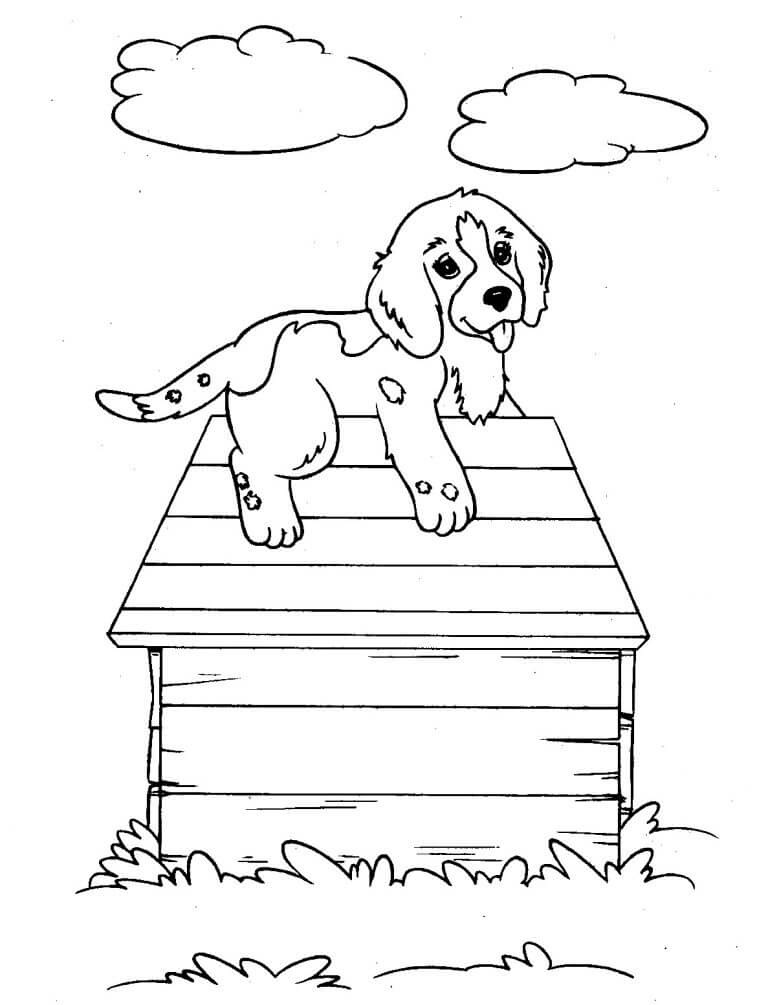 Desenhos de Cachorro em uma Casa para colorir