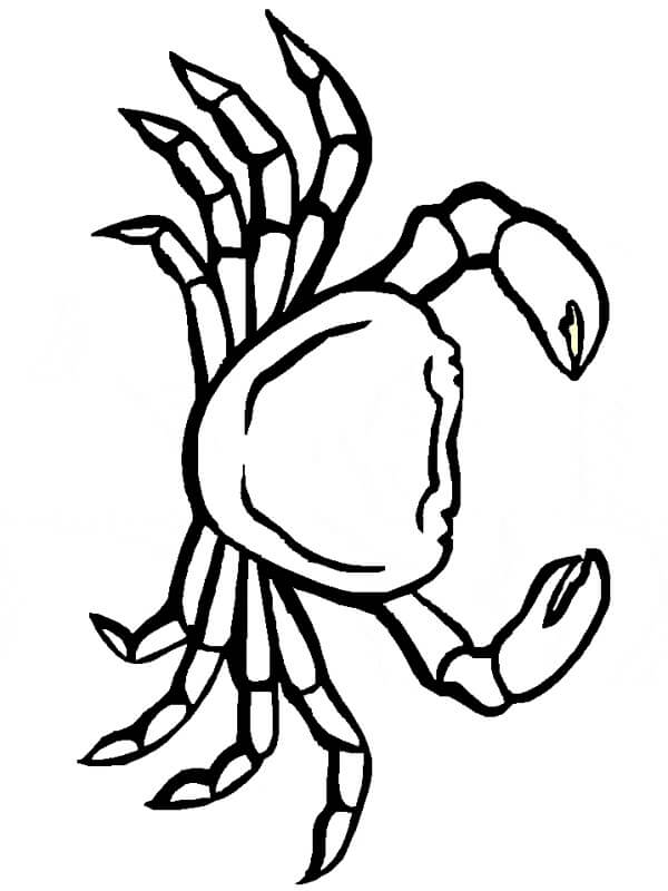 Desenhos de Caranguejo Normal para colorir