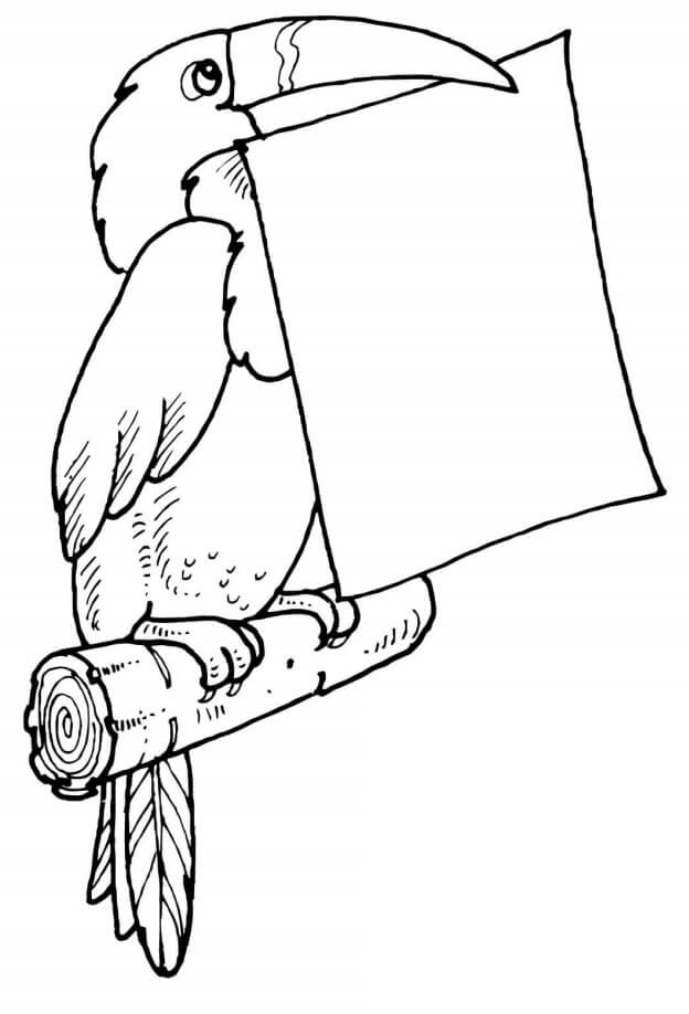 Desenhos de Carta de Detenção de Tucano para colorir